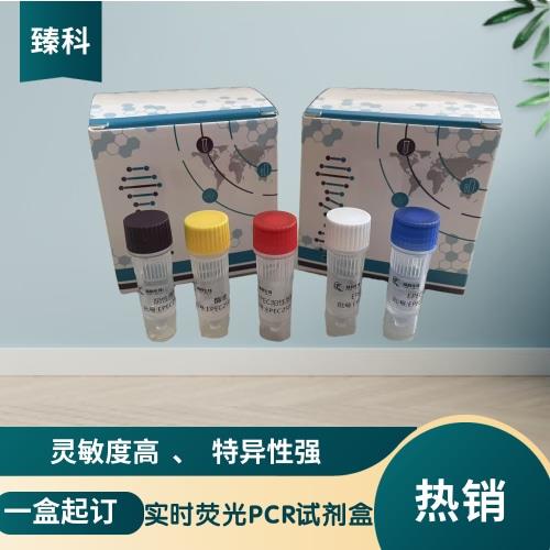 新PCR1-15.jpg 新PCR1-15.jpg