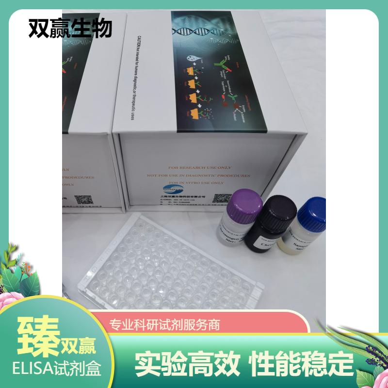 人血管紧张素Ⅱ受体1抗体(ATⅡR1)ELISA试剂盒