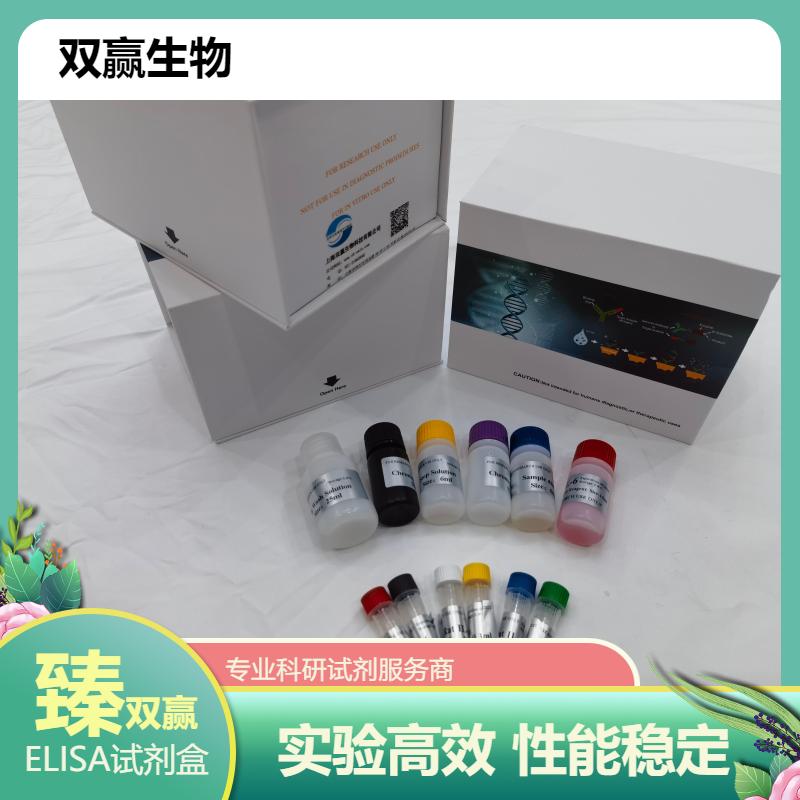 人再生胰岛衍生蛋白3β(reg3β)ELISA试剂盒