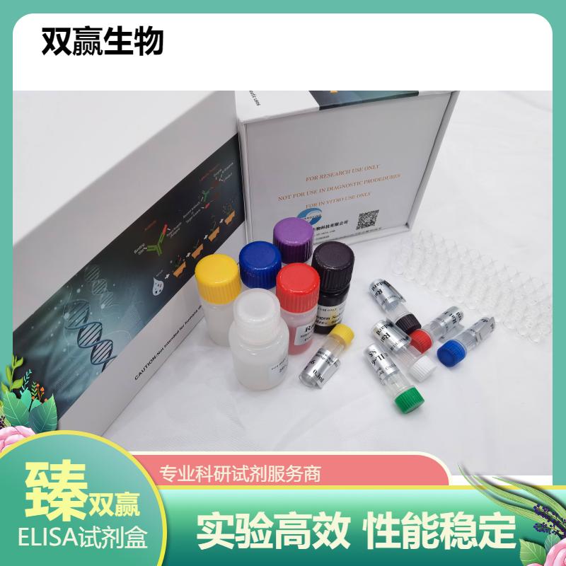 人非磷酸化-未羧化的基质gla蛋白(dp-ucMGP)ELISA试剂盒