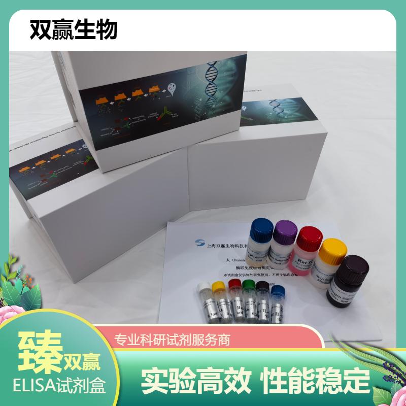 人艾蒿特异性IgG-BF(AIgG-BF)ELISA试剂盒
