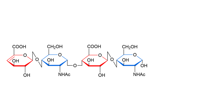 不饱和K5四糖寡糖应用于抗肿瘤前体药物