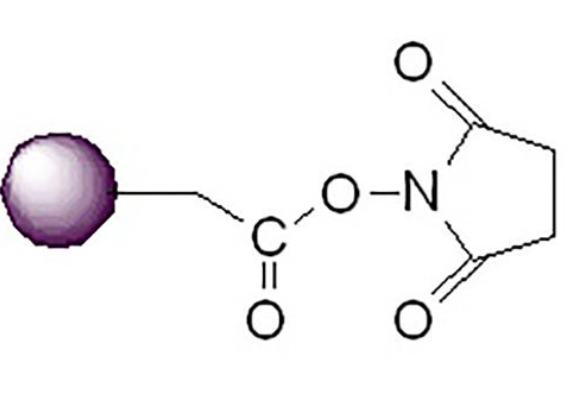 Epoxy-Activated Sepharose Magnetic Beads，环氧琼脂糖磁珠45-165um