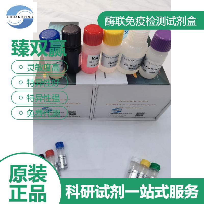 人可溶性血管细胞黏附分子1(sVACM-1)ELISA试剂盒