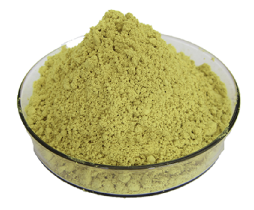 绞股蓝提取物,绞股蓝总甙含量5%,10%,80%,98%,绞股蓝全叶纯粉,绞股蓝生粉,脱色绞股蓝皂苷