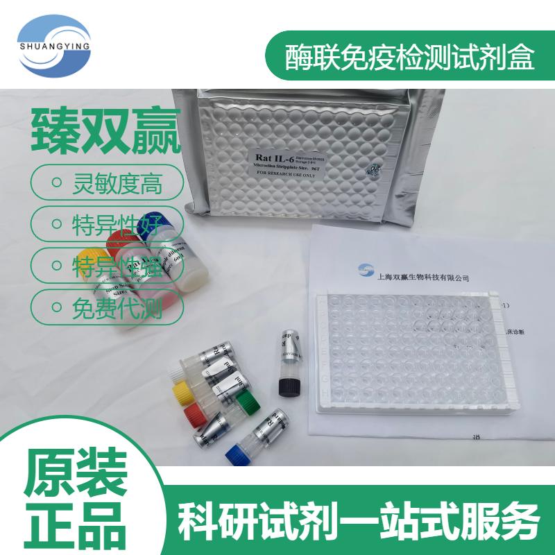 人消退素E2(RvE2)ELISA试剂盒
