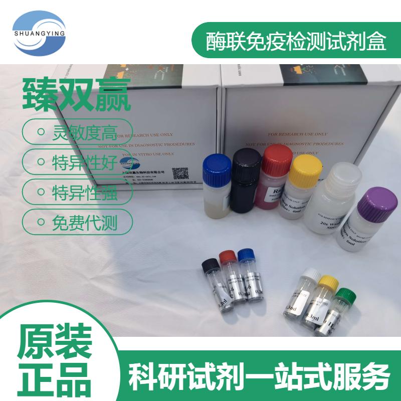 人信号感应增殖相关蛋白1(SPA-1;SIPA-1)ELISA试剂盒