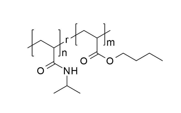 聚（N-异丙基丙烯酰胺-r-丙烯酸正丁酯）