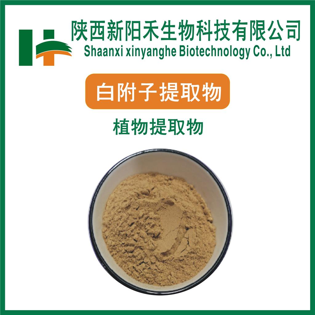 白附子提取物 