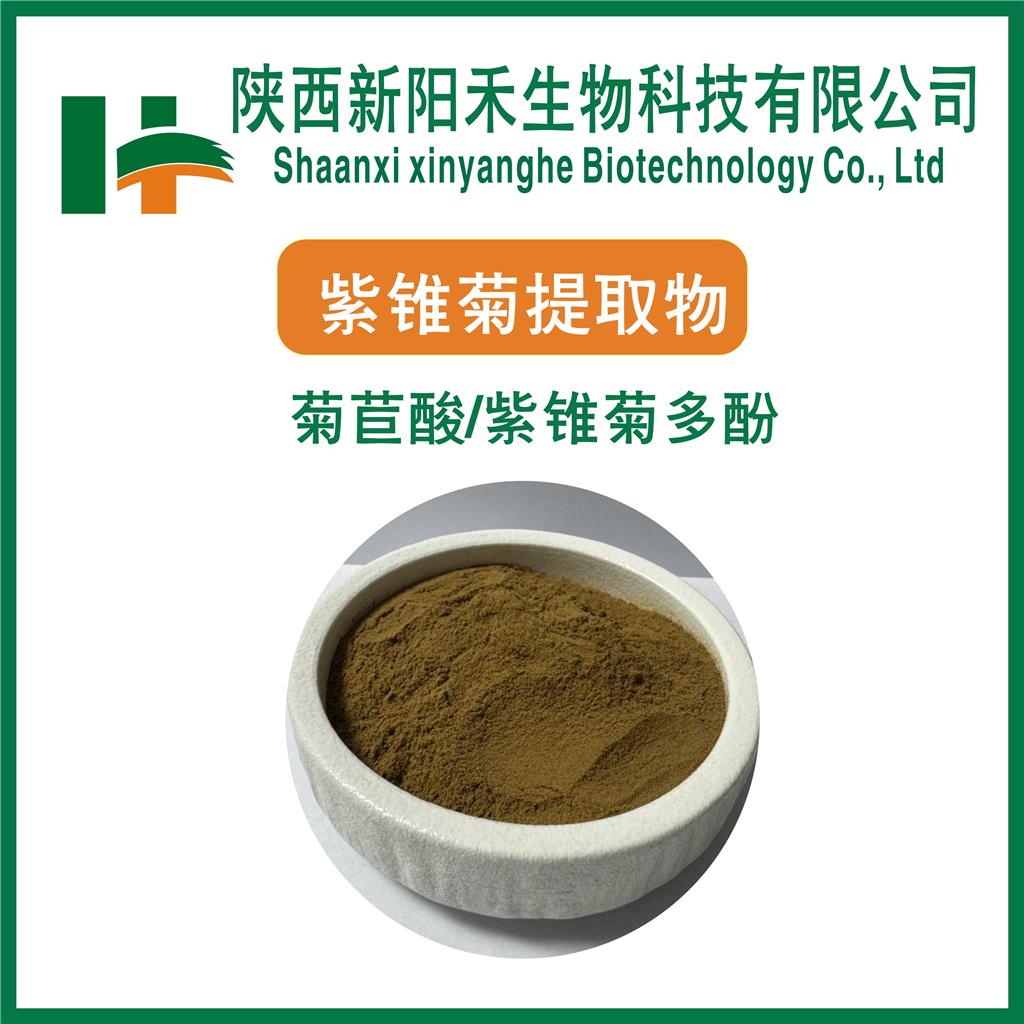 紫锥菊提取物     紫锥菊多酚