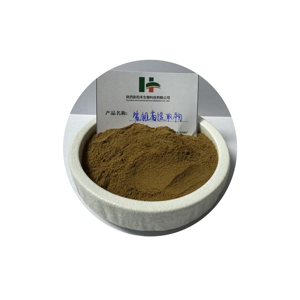 紫锥菊提取物     紫锥菊多酚