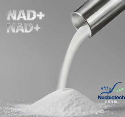 优级NAD+(β-烟酰胺腺嘌呤二核苷酸)