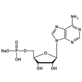 5'-单磷酸腺苷单钠；13474-03-8