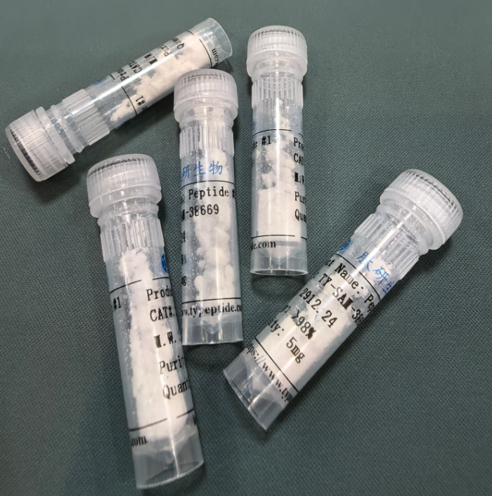 激动剂多肽ARA-290；西比奈肽/1208243-50-8/ARA290?(Cibinetide)