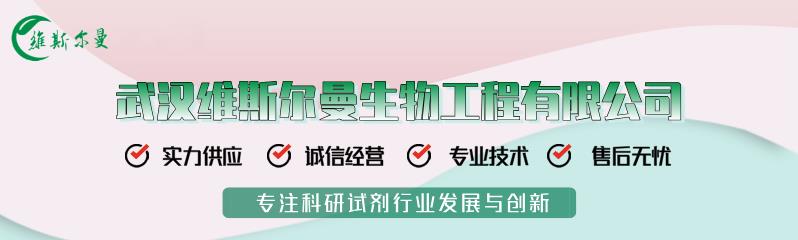 维斯尔曼单独banner_新闻用.png