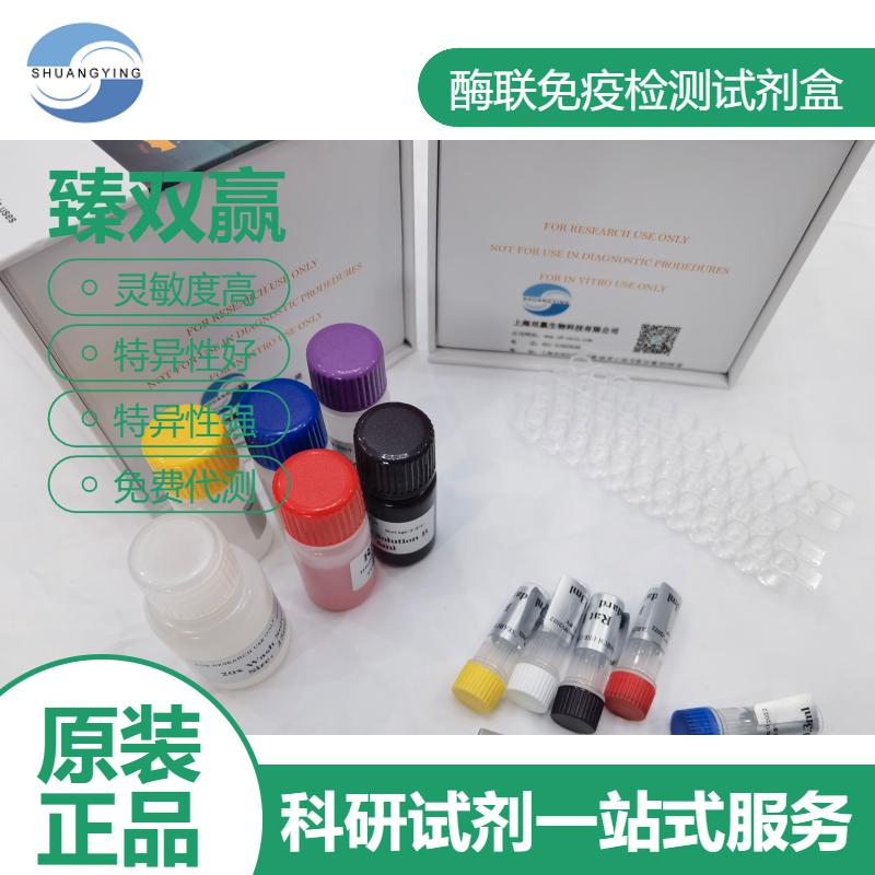 人神经肽A(NKA)ELISA试剂盒