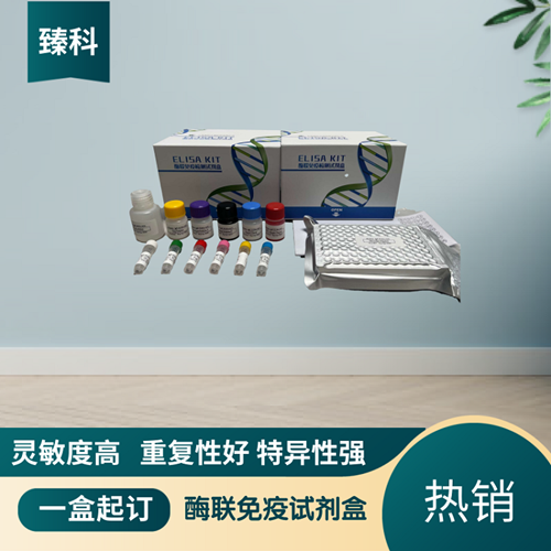 大鼠（Rat)可溶性Toll样受体2(sTLR2）ELISA试剂盒