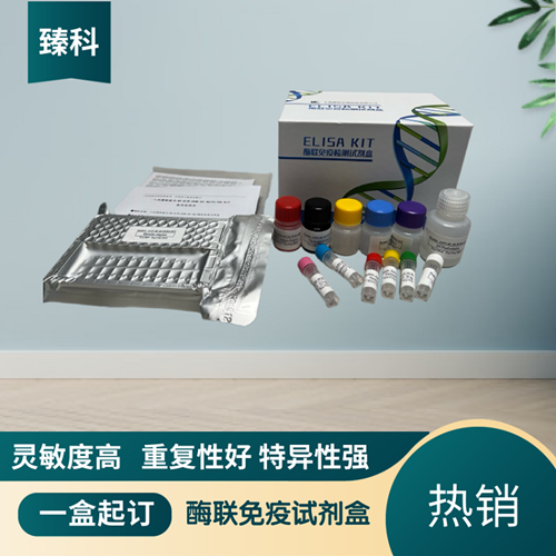 大鼠（Rat)多巴胺D2受体(D2R）ELISA试剂盒