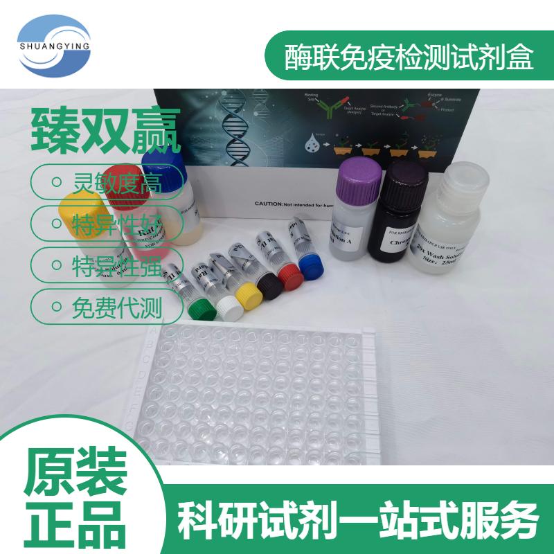 人凝聚素(CLU)ELISA试剂盒