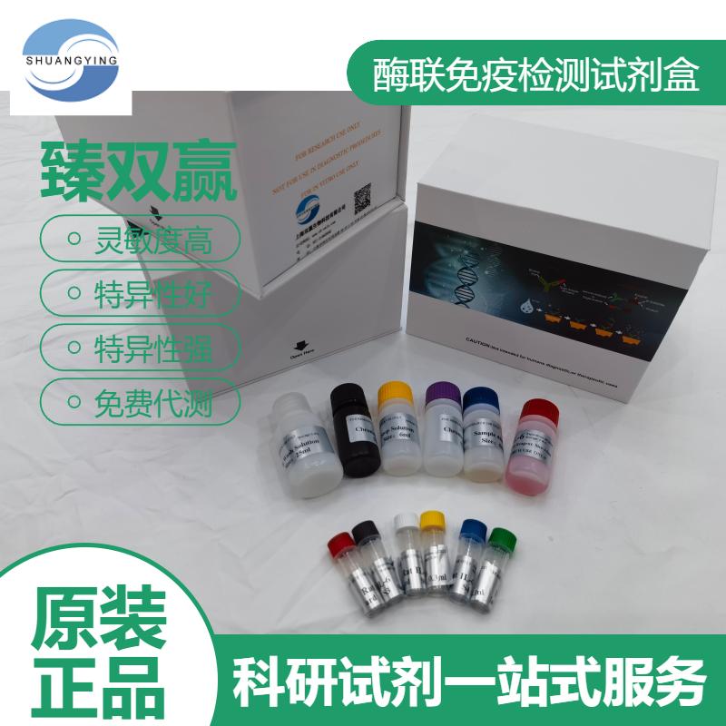 人细胞角蛋白5；6(CY5；6)ELISA试剂盒