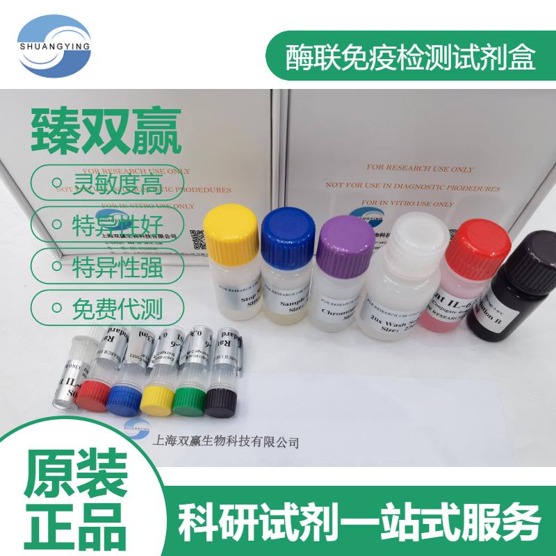人血管紧张素1-9(ANG 1-9)ELISA试剂盒