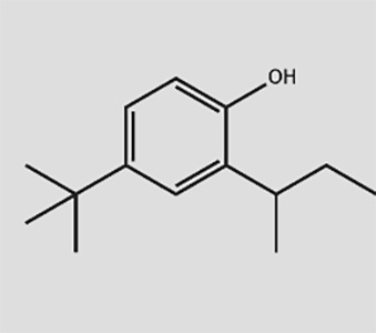 2-仲基-4-叔丁基苯酚