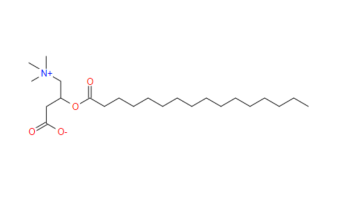 棕榈酰左旋肉碱  