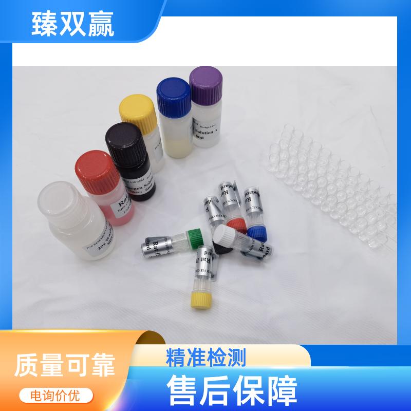 人抗新喋呤抗体(NP-Ab)ELISA试剂盒