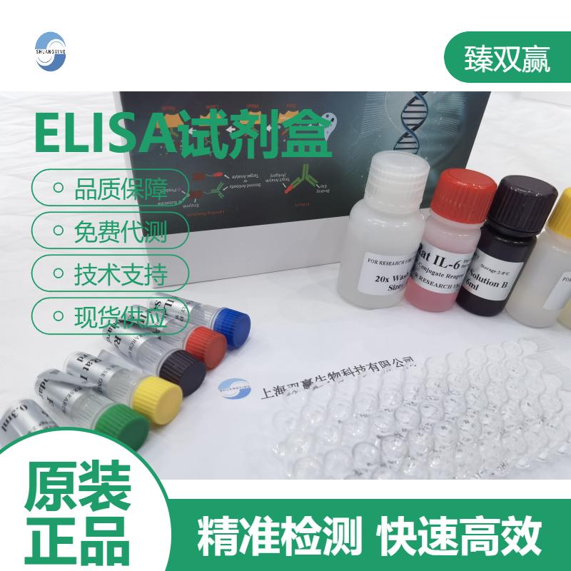 人可溶性血管内皮细胞生长因子受体1(sVEGFR-1)ELISA试剂盒