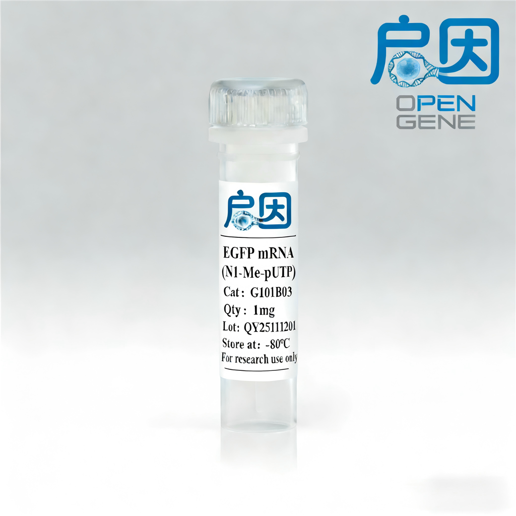 eGFP mRNA(N1-Me-pUTP)