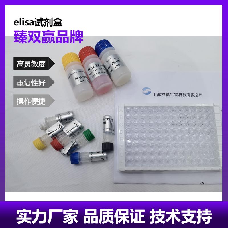 人抗中性粒细胞核周抗体(pANCA Ab)ELISA试剂盒