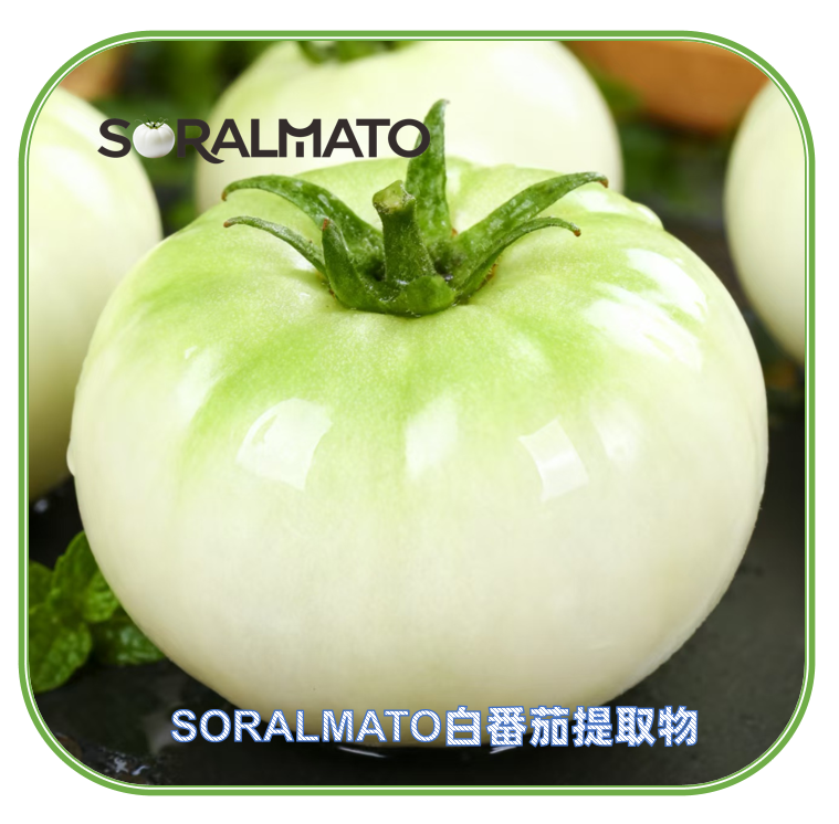 SORALMATO水晶白番茄提取物 | 白番茄浓缩粉 | 天然膳食补充剂成分 | 妆食同源