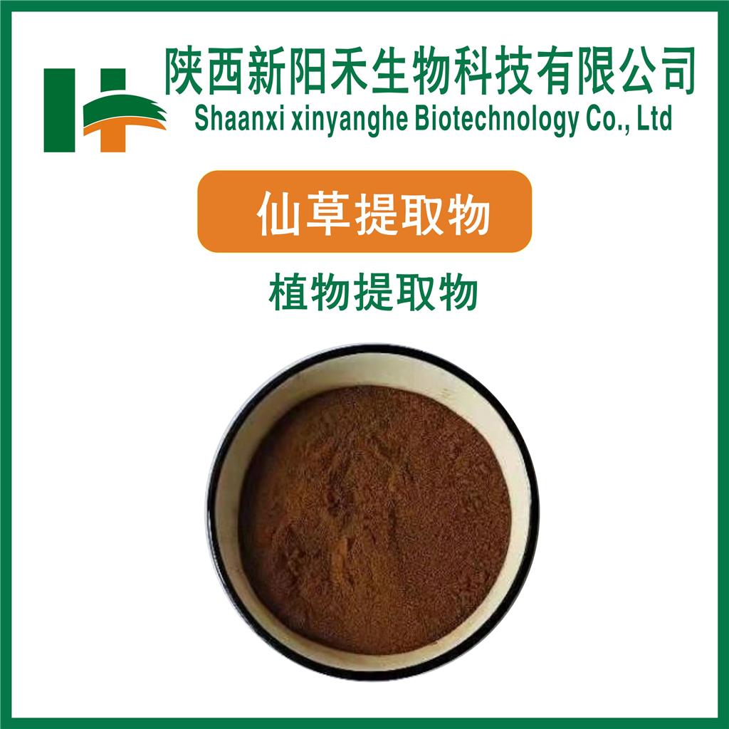 仙草提取物    凉粉草粉