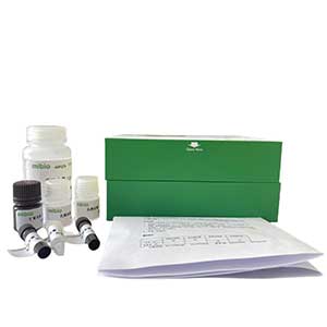 脂肪酶(LPS)测定试剂盒/分光光度法/48样