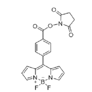BODIPY-NHS，氟化硼二吡咯-琥珀酰亚胺酯