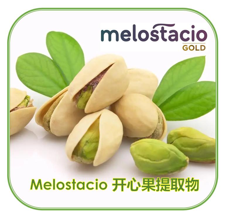 melostacio-GOLD 1.png