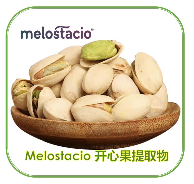 melostacio-7.png