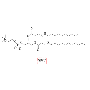 SSPC响应型磷脂，DSPE-SS-PEG-Biotin