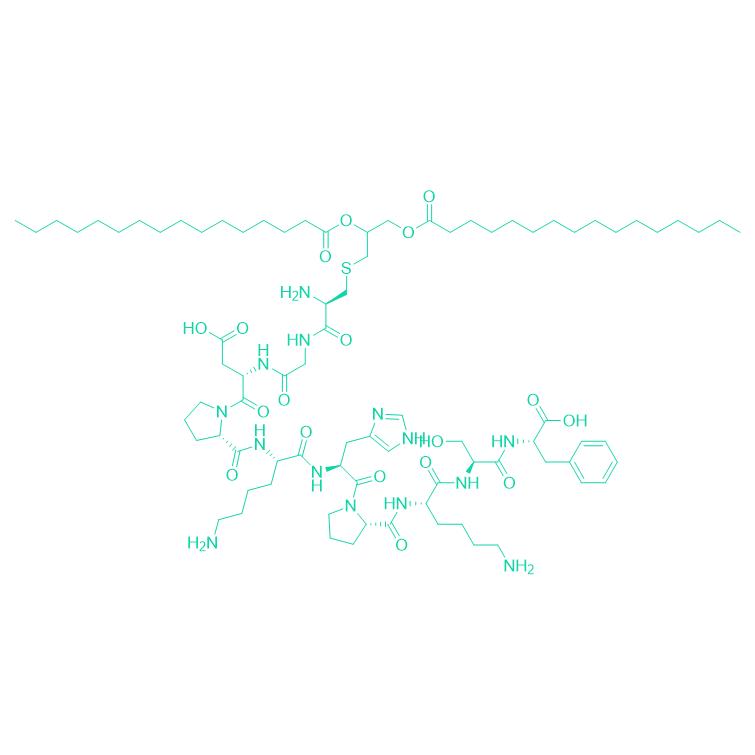 218P211 FSL1 322455-70-9.png