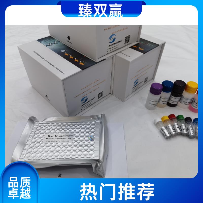 大鼠白蛋白启动子D位点结合蛋白(DBP)ELISA试剂盒