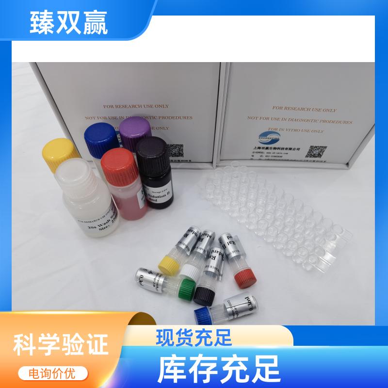 大鼠促血管生成素1(ANG-1)ELISA试剂盒
