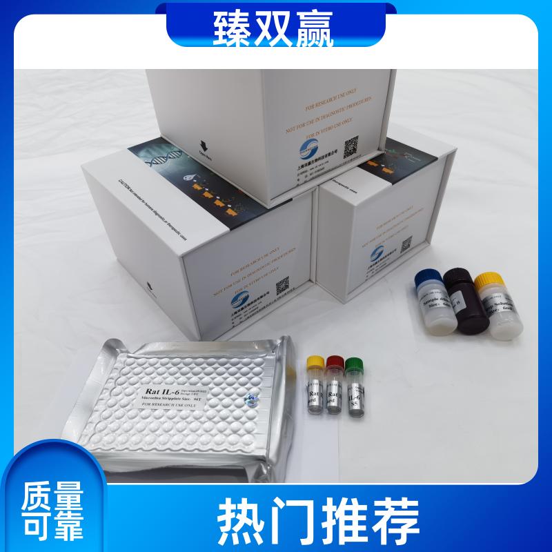 大鼠白细胞介素31(IL-31)ELISA试剂盒