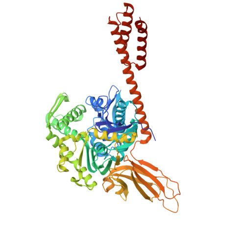 重组小鼠HSPA5蛋白