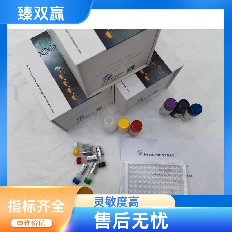 大鼠多巴胺转运蛋白(DAT)ELISA检测试剂盒