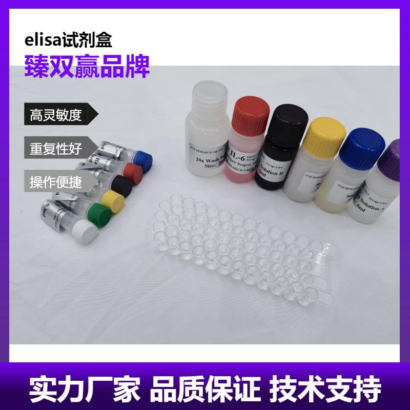 大鼠UDP葡糖醛酸基转移酶1家族多肽A1(UGT1A1)ELISA试剂盒