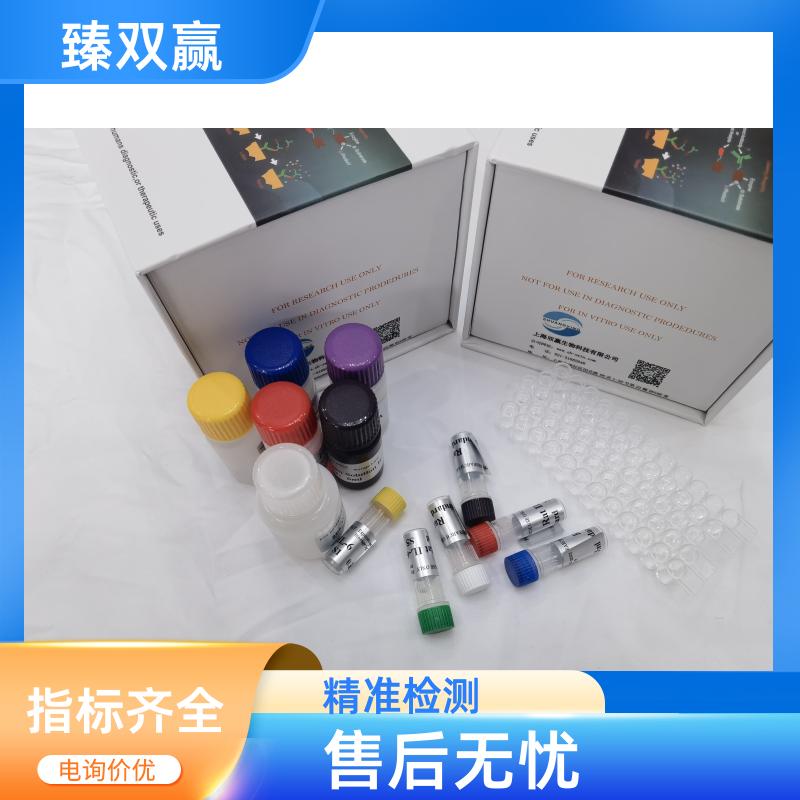 大鼠白细胞介素17A(IL-17A)ELISA试剂盒