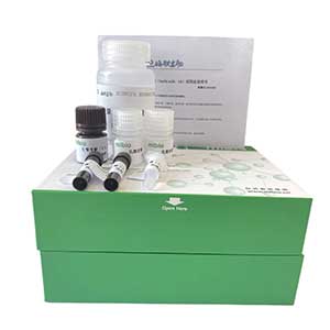 溶菌酶(LZM)测定试剂盒96样/微量法