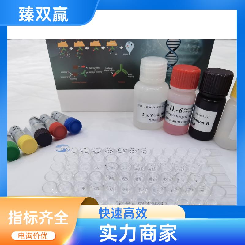 大鼠白细胞介素12B(IL12B)ELISA试剂盒