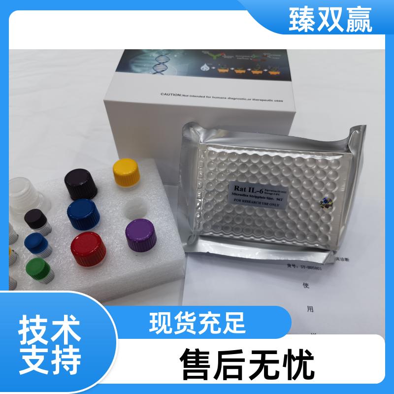 大鼠γ-分泌激活蛋白(gSAP/γSAP)ELISA试剂盒