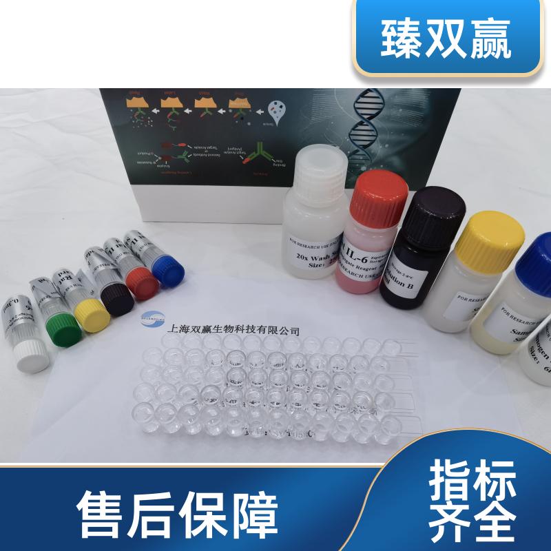 大鼠β淀粉样蛋白(Aβ)ELISA试剂盒